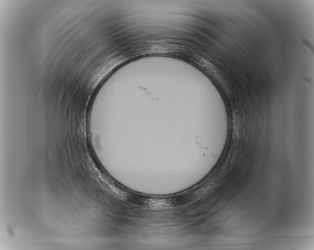 X0000101150794200807251047