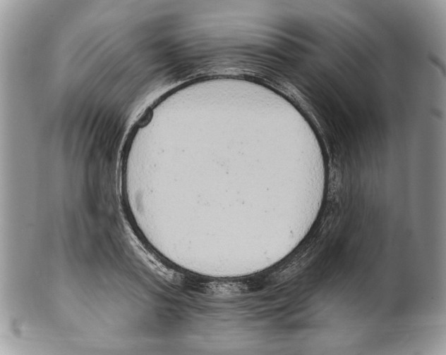 X0000101150795200807251047