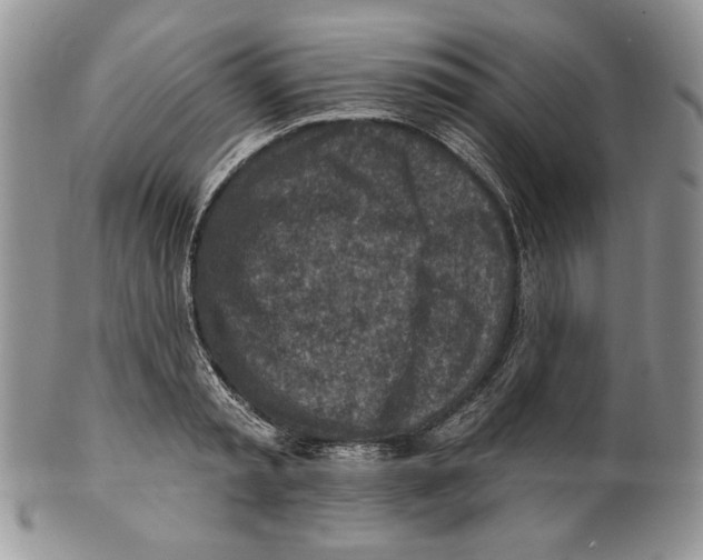 X0000101150797200807251047