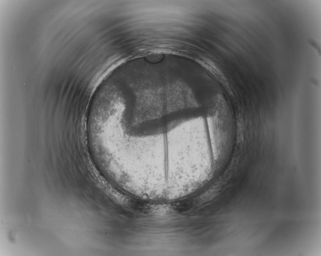 X0000101150798200807251047