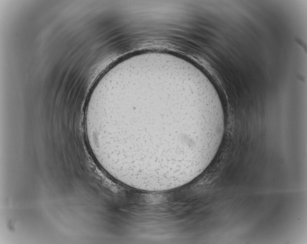 X0000101150799200807251047