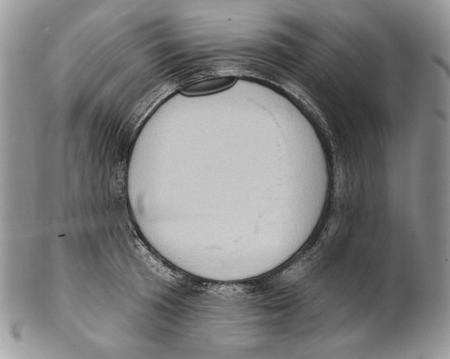 X0000101150801200807251047
