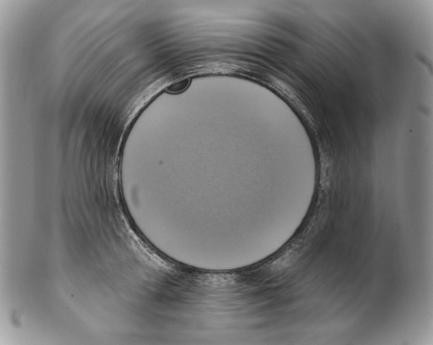 X0000101150802200807251047