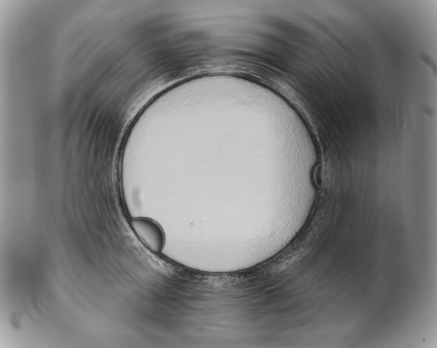 X0000101150803200807251047