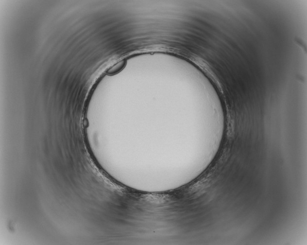 X0000101150805200807251047