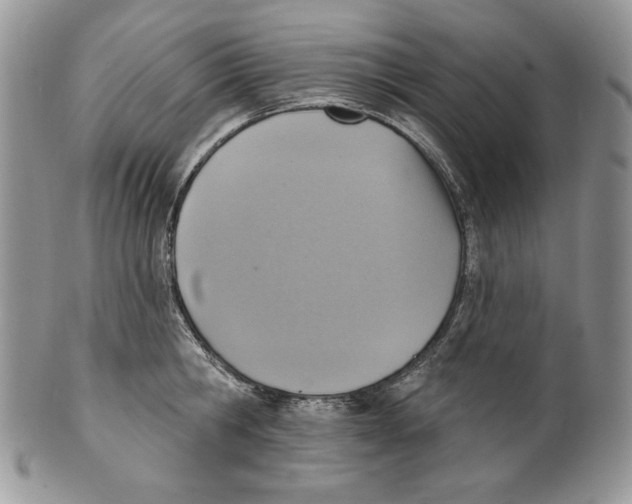 X0000101150806200807251047