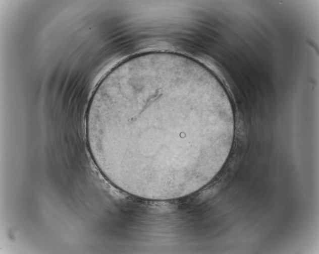 X0000101150807200807251047