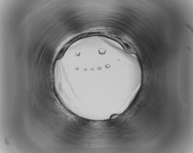 X0000101150808200807251047