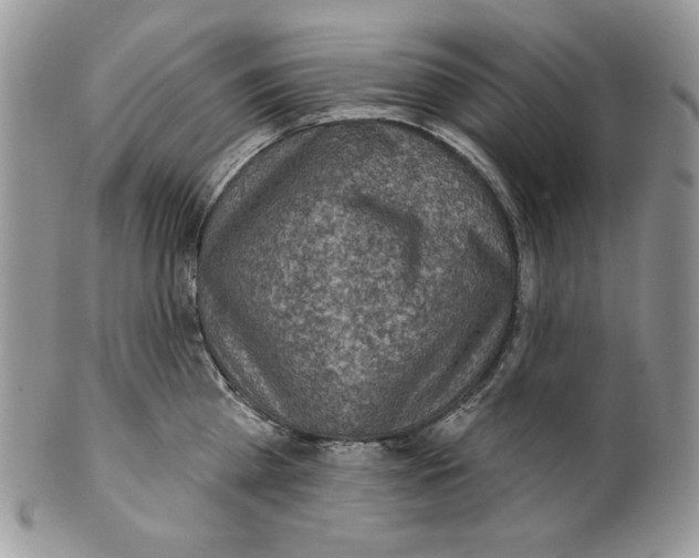 X0000101150809200807251047
