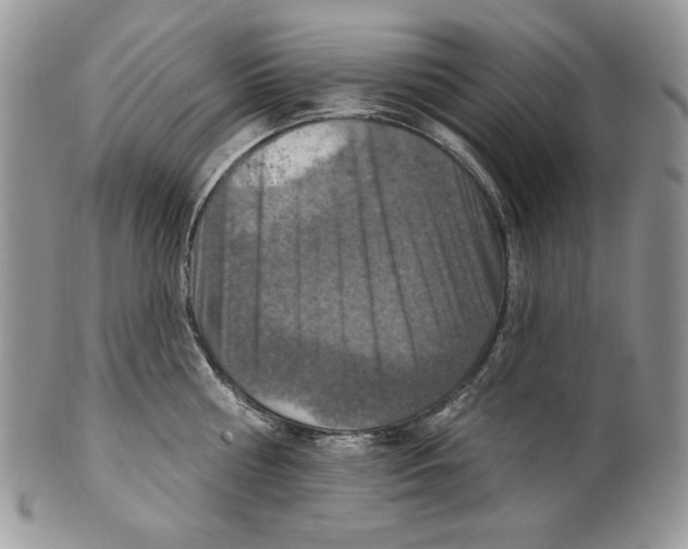 X0000101150810200807251047