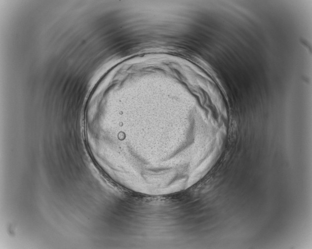 X0000101150811200807251047