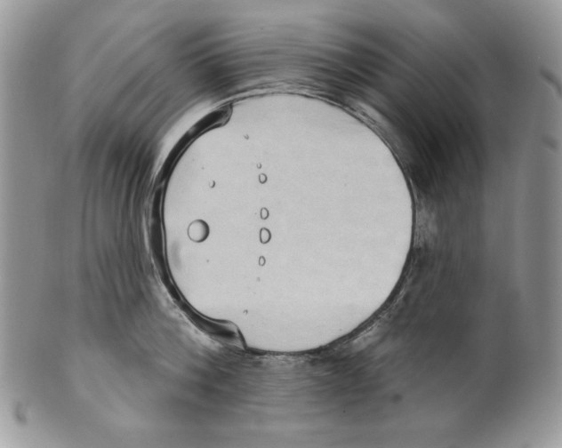 X0000101150812200807251047