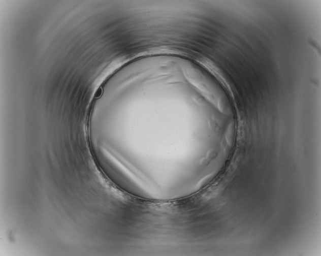 X0000101150813200807251047