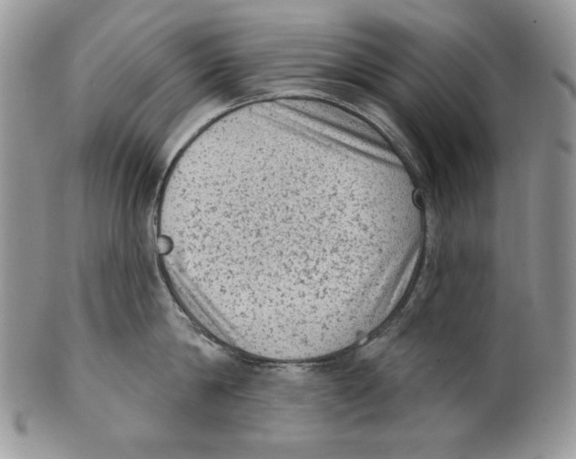 X0000101150814200807251047