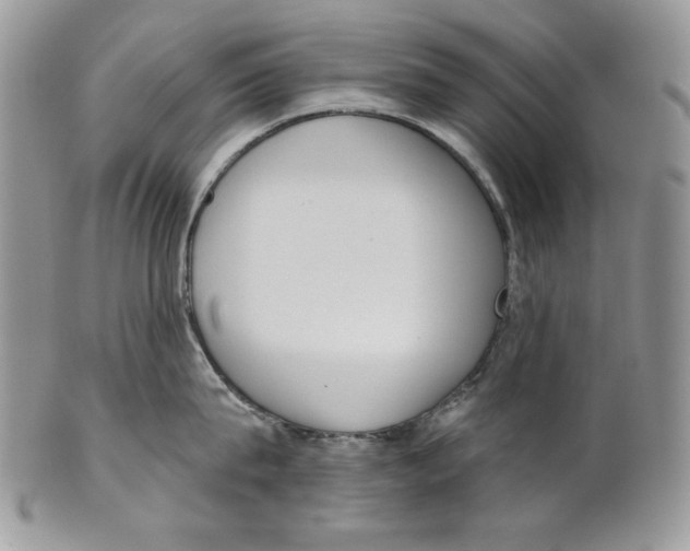 X0000101150815200807251047
