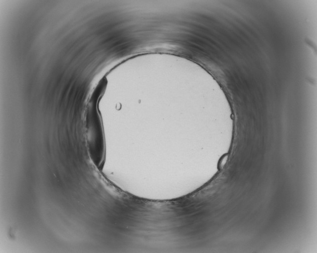X0000101150816200807251047