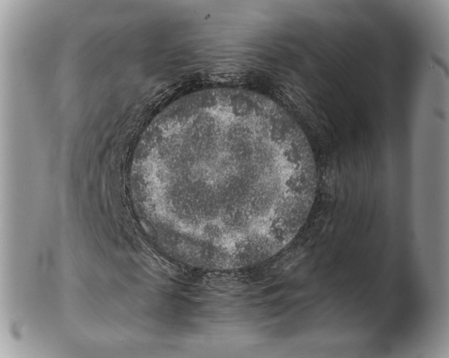 X0000101150817200807251046
