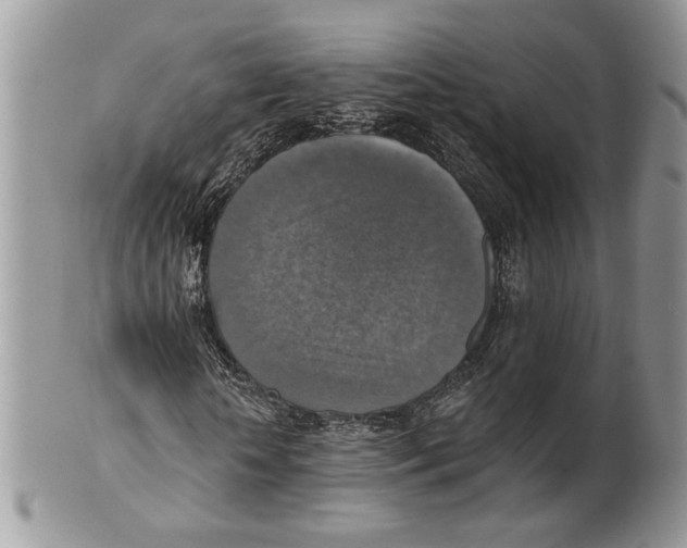 X0000101150818200807251046