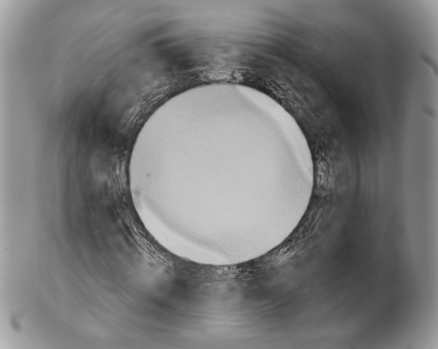 X0000101150820200807251046