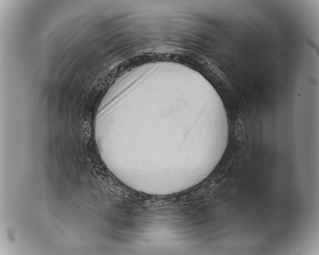 X0000101150821200807251046