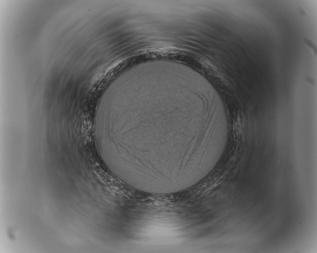 X0000101150822200807251046