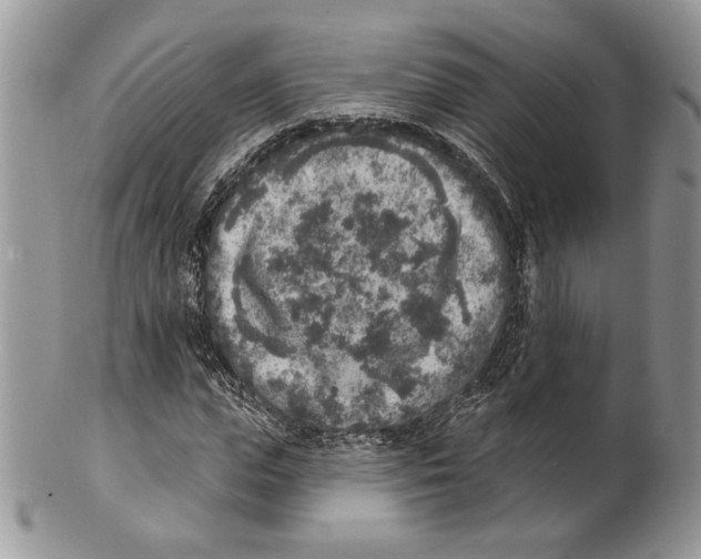 X0000101150823200807251046