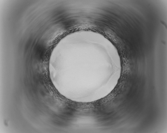 X0000101150824200807251046