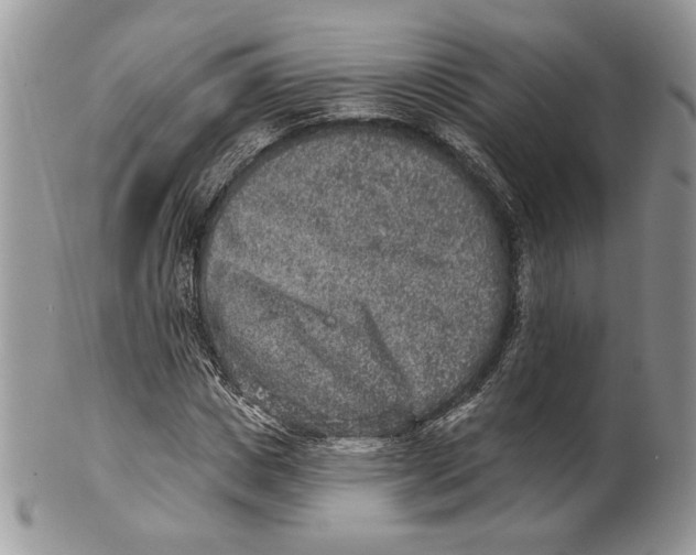 X0000101150825200807251046