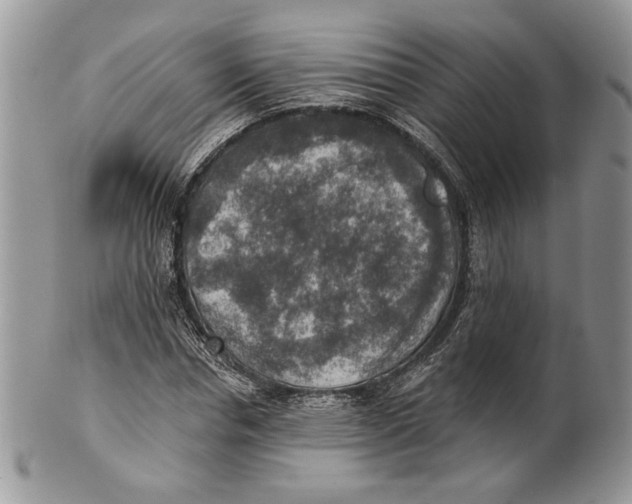 X0000101150826200807251046