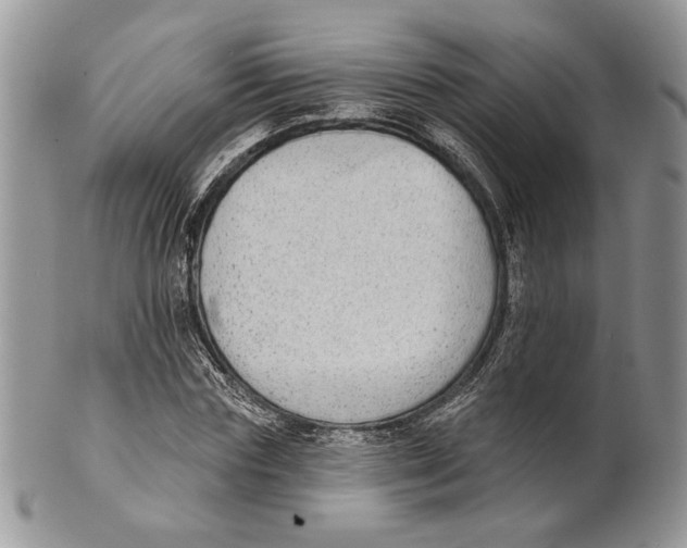X0000101150827200807251046