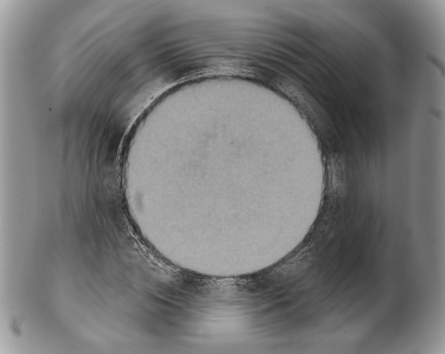 X0000101150828200807251046