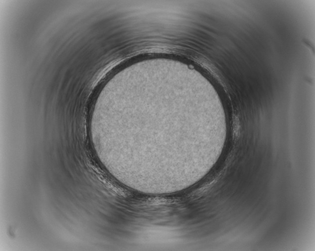 X0000101150829200807251046
