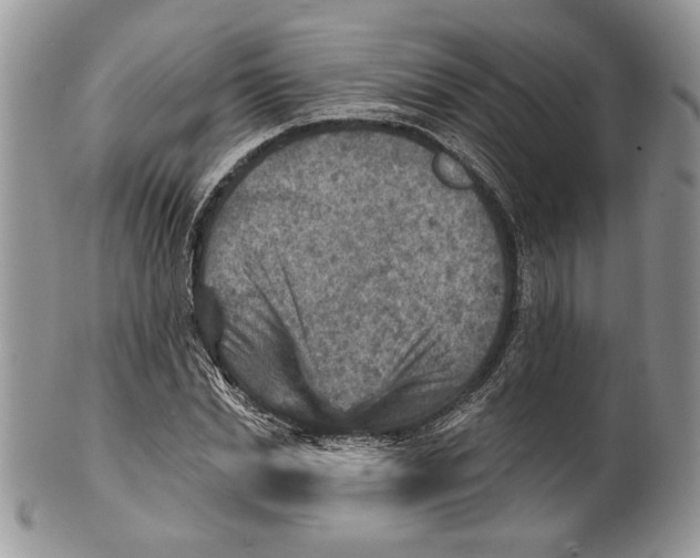 X0000101150830200807251046