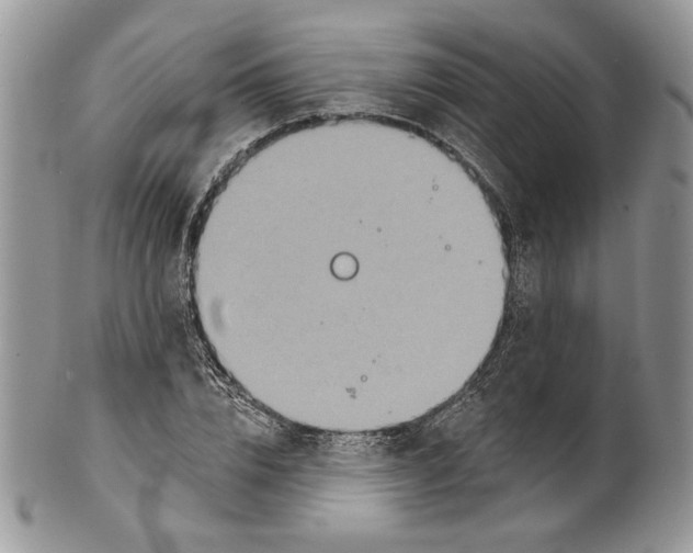 X0000101150832200807251046