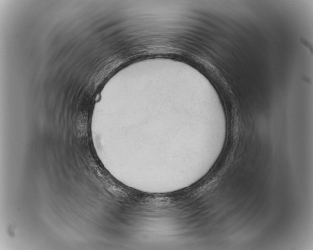 X0000101150833200807251046