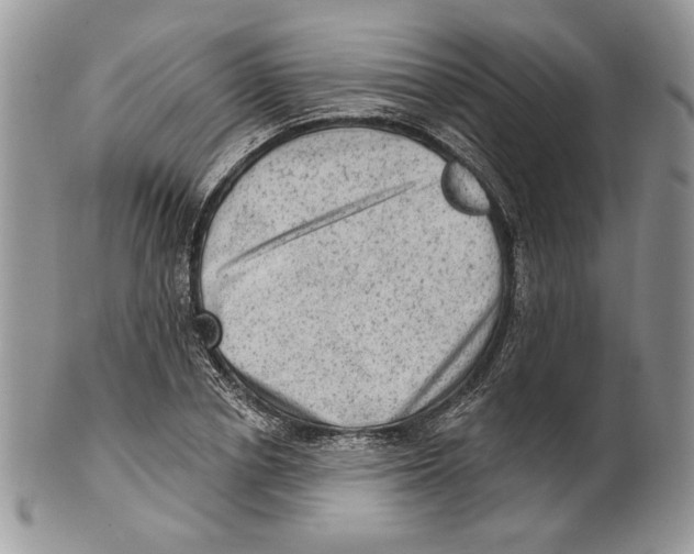 X0000101150834200807251046