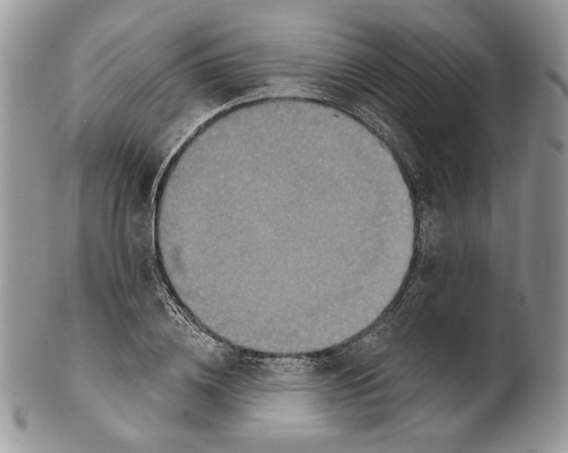 X0000101150836200807251046