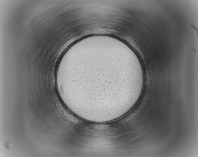 X0000101150837200807251046