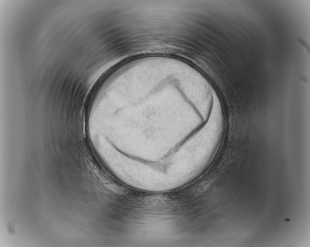 X0000101150838200807251046