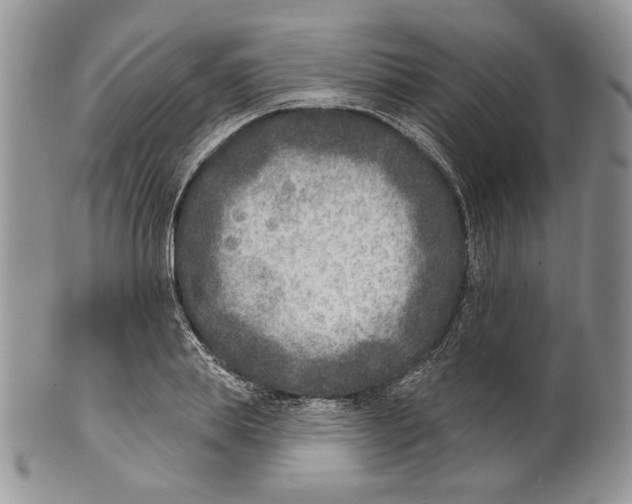 X0000101150839200807251046