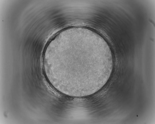 X0000101150840200807251046