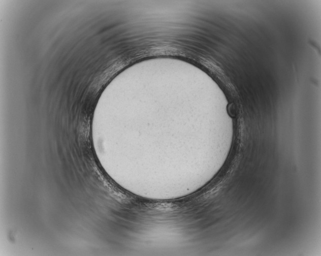 X0000101150841200807251046