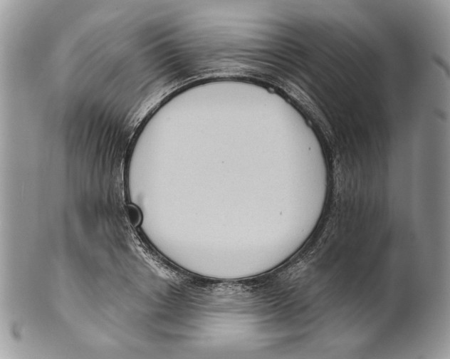 X0000101150842200807251046