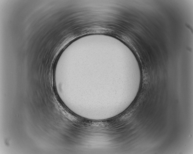 X0000101150843200807251046