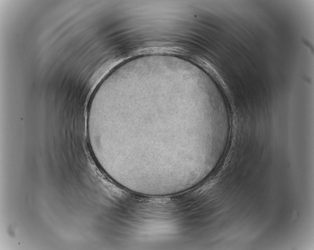 X0000101150844200807251046