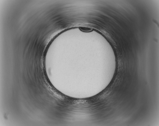 X0000101150846200807251046