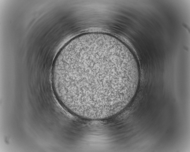 X0000101150847200807251046