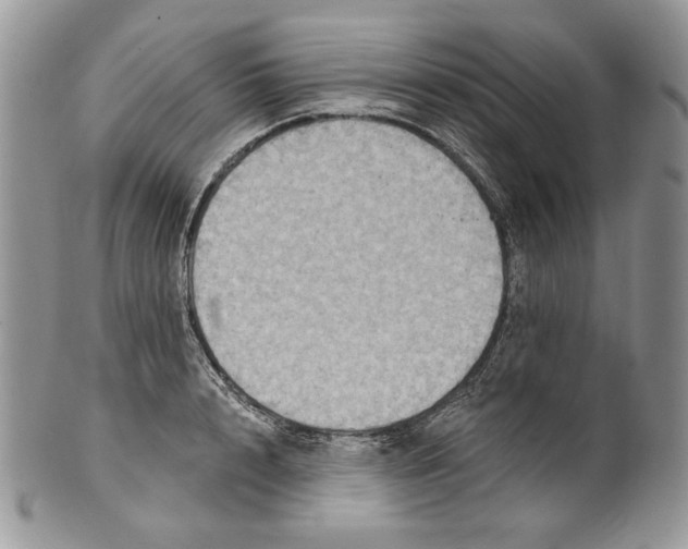 X0000101150848200807251046