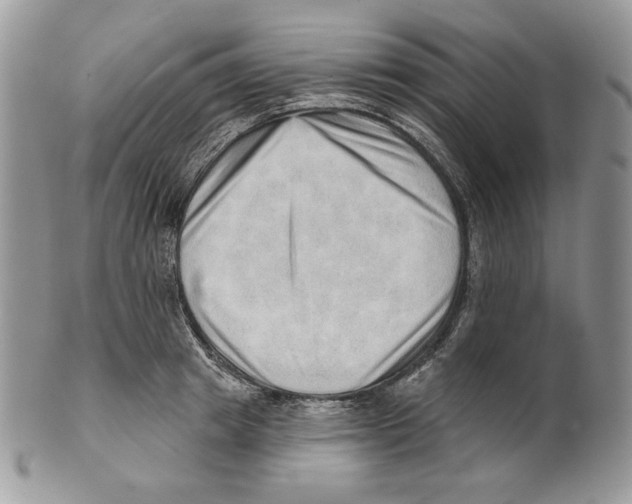 X0000101150849200807251046