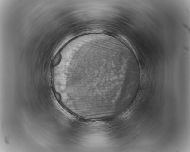 X0000101150851200807251046